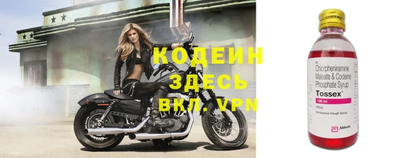 ешки Дмитриев