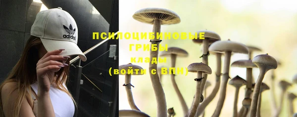 прущий лед Дмитров