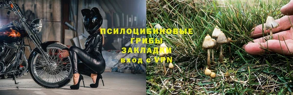ешки Дмитриев