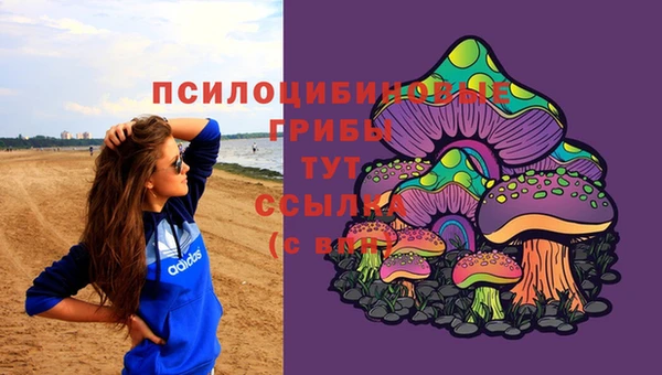 прущий лед Дмитров