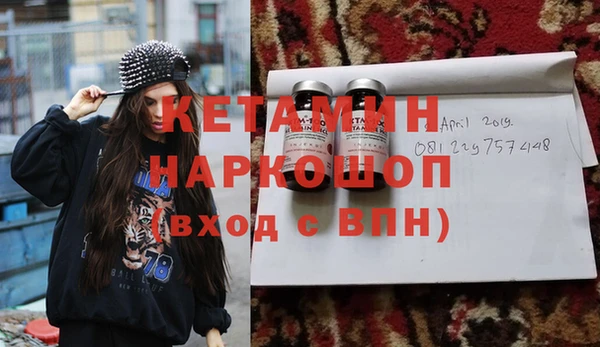 индика Елабуга