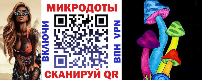 наркотики  Тюмень  Псилоцибиновые грибы Psilocybine cubensis 
